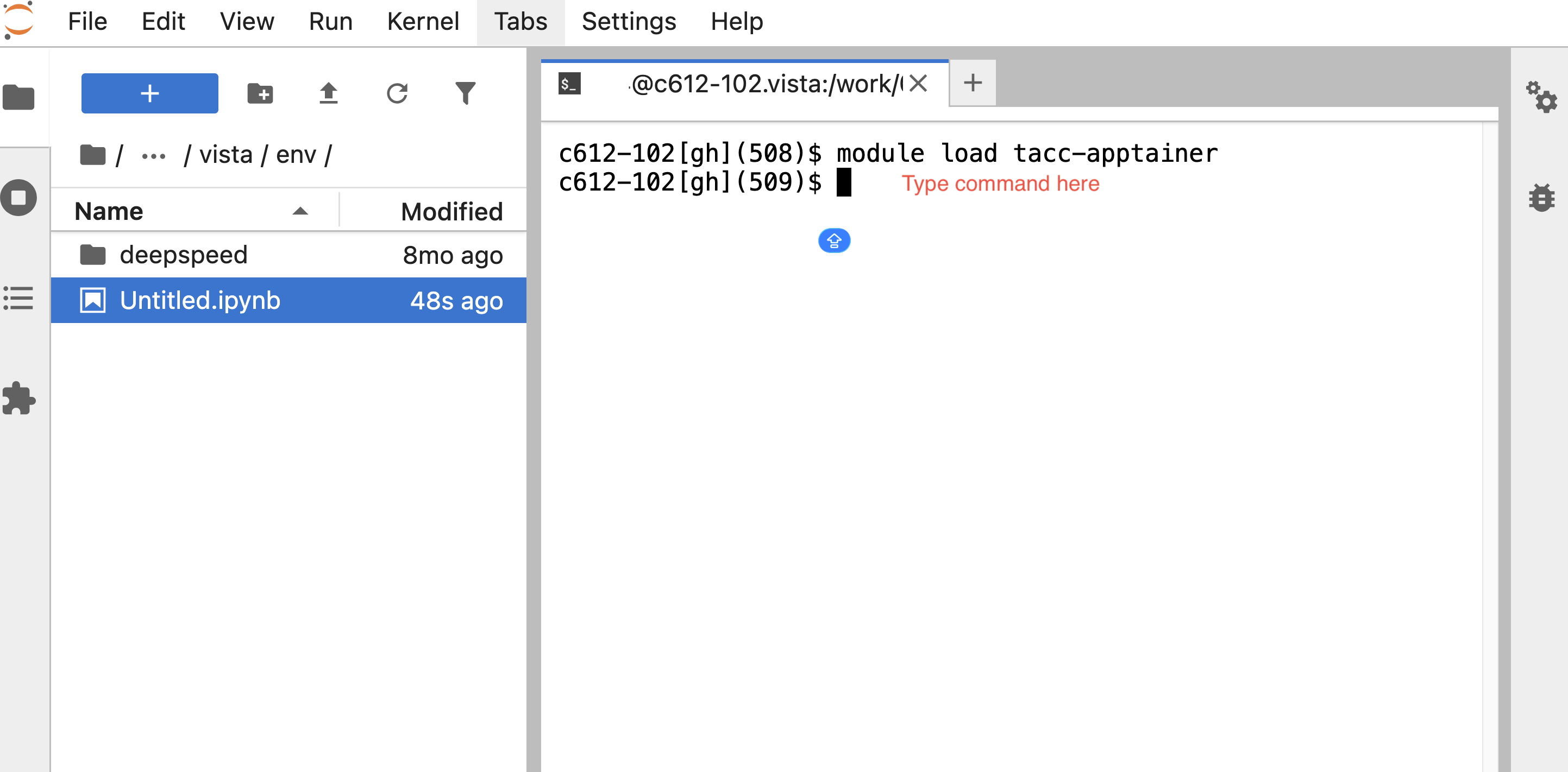 input command